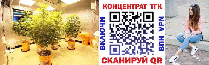 Купить  Серафимович  Дистиллят ТГК вейп 